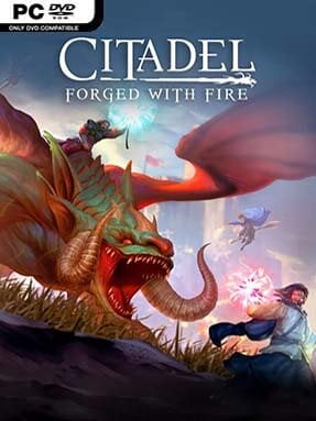 Citadel: Forged With Fire Cover Art
