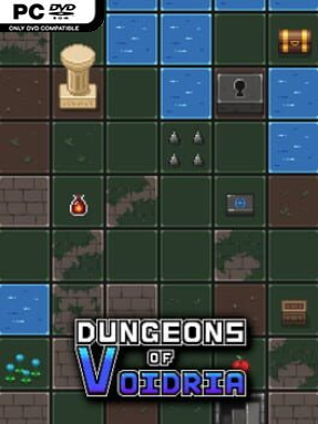 Dungeons of Voidria Cover Art