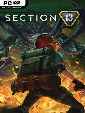 Section 13 Cover Art