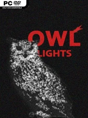 Owl Lights