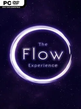 The Flow Experience