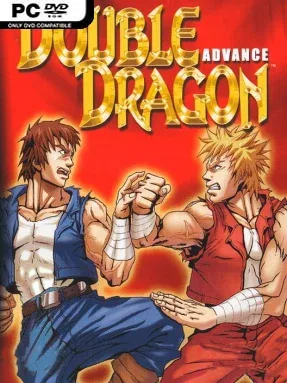 Double Dragon Advance