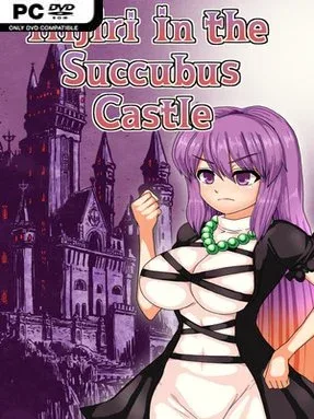 Hijiri In The Succubus Castle Cover Art