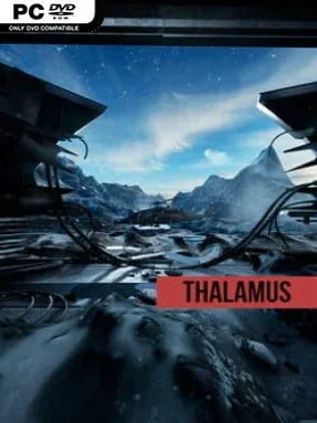 Thalamus