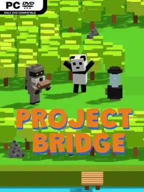 Project Bridge Cover Art