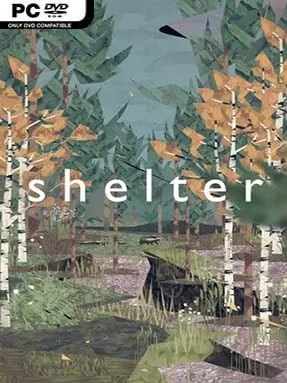 Shelter Cover Art